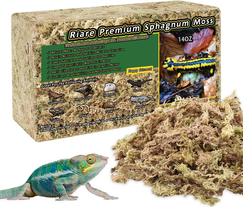 Riare 14OZ Premium Sphagnum Moss for Reptiles- 20QT Natural Reptile Moss Dried, Forest Live Moss for Terrarium, Frogs Snake Peat Moss Bedding for Leopard Gecko Turtle Anoles Salamanders Orchids - Image 1